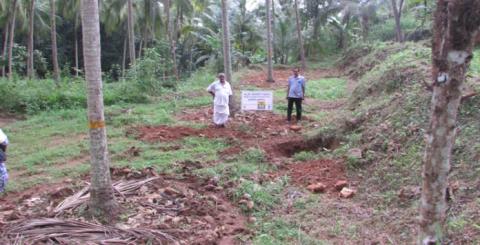 moisture conservation in coconut gardens